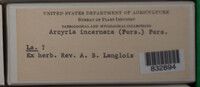 Image Associated With the Occurence